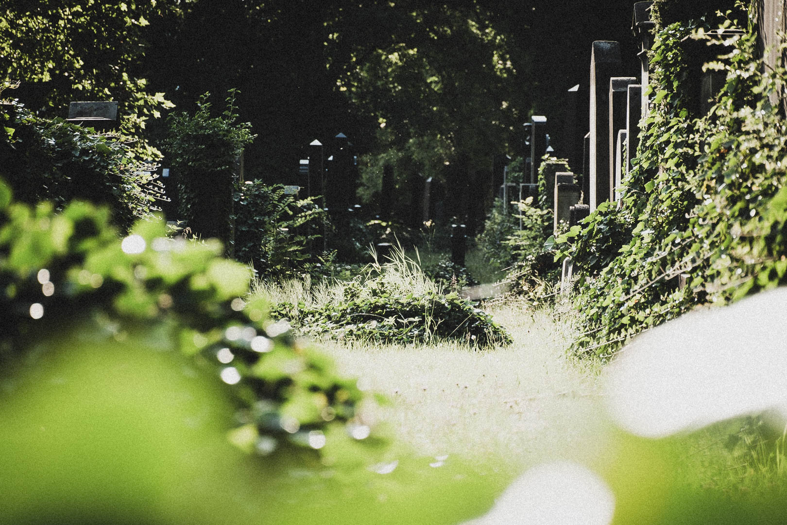 Jüdischer Friedhof Kassel-Bettenhausen